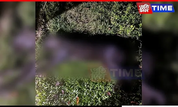 BREAKING: Black Panther Carcass Found In Manas National Park